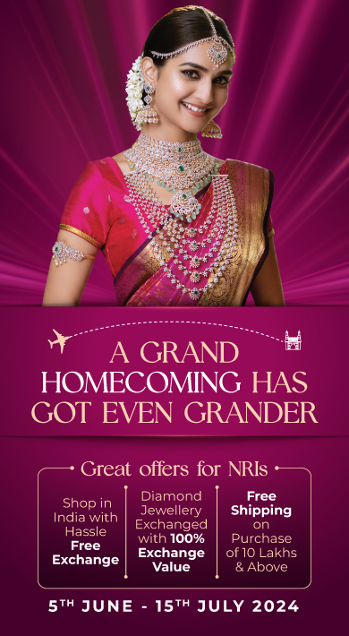 NRI Home Coming